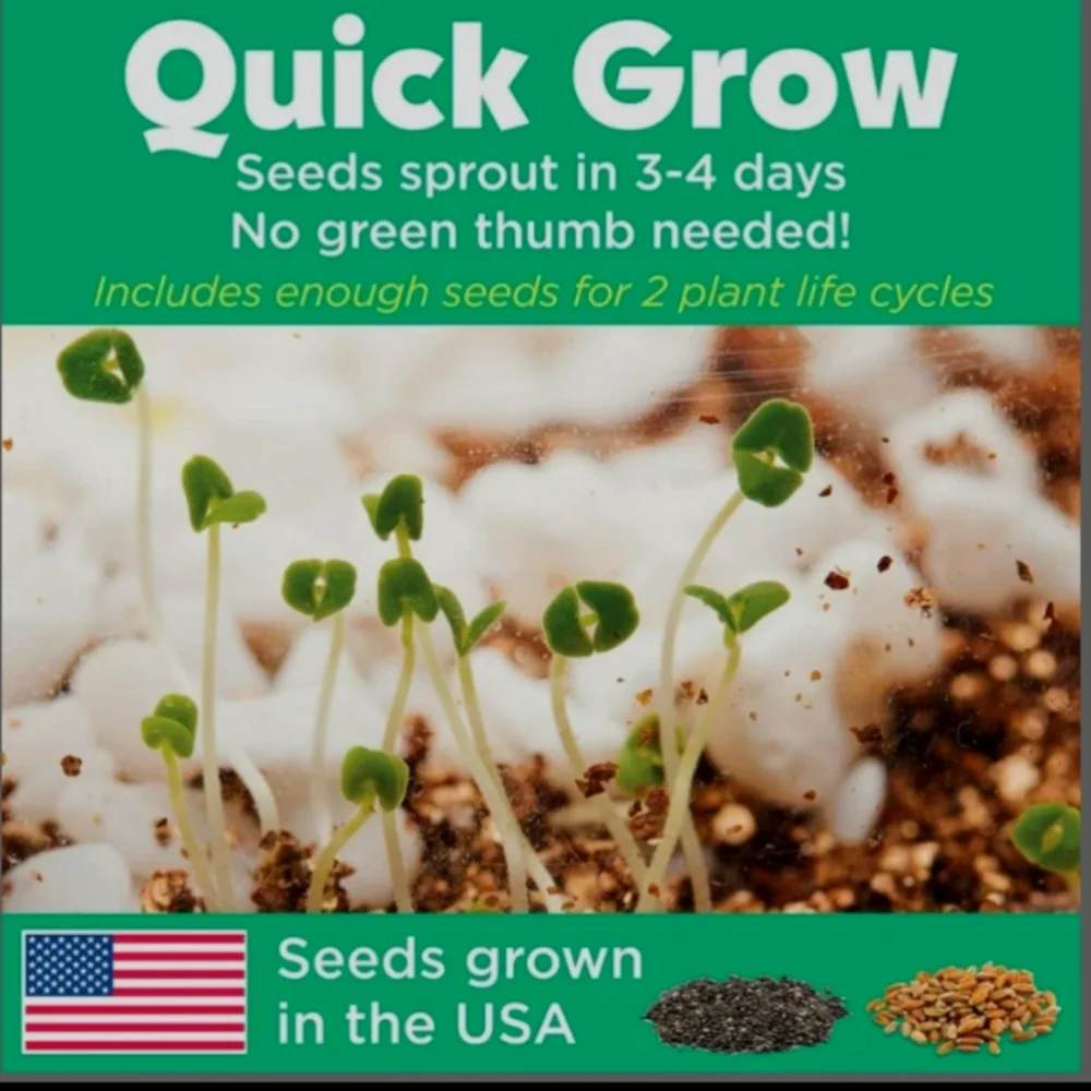 Grow 'N Glow Terrarium Kit NEW - Picture 8 of 8